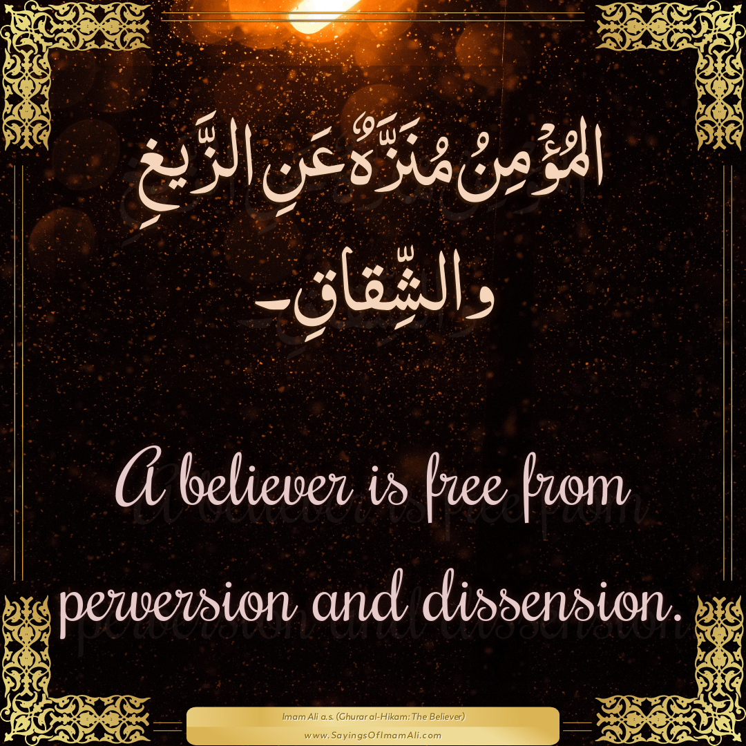 A believer is free from perversion and dissension.
